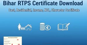 Bihar/UP Certificate Verification 2024 Online Apply, Verify & Track Guide