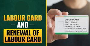Labour Card Benefits Complete Guide & Advantages