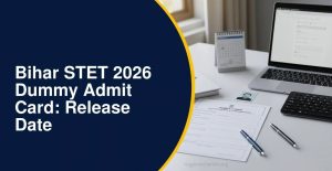 Bihar STET Dummy Admit Card 2026